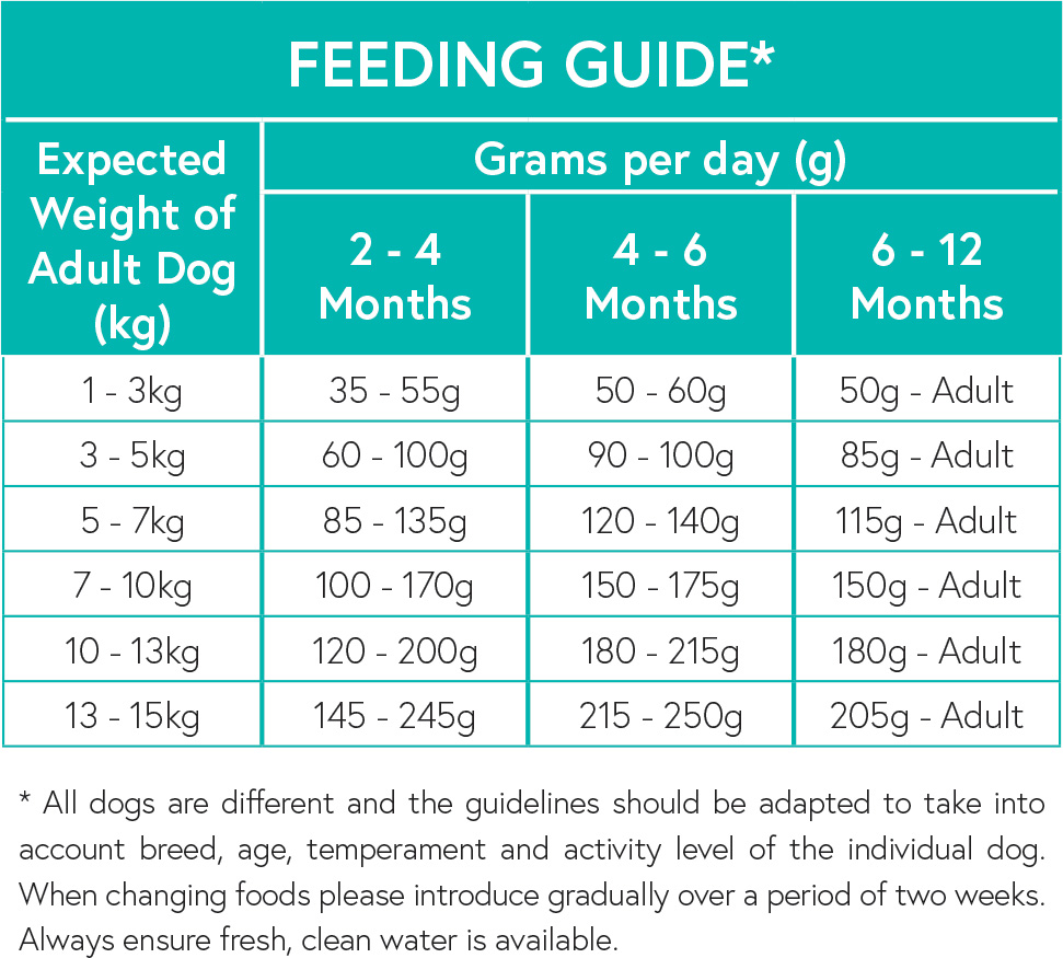 Small Dog Breed Puppy Turkey Feeding Guide